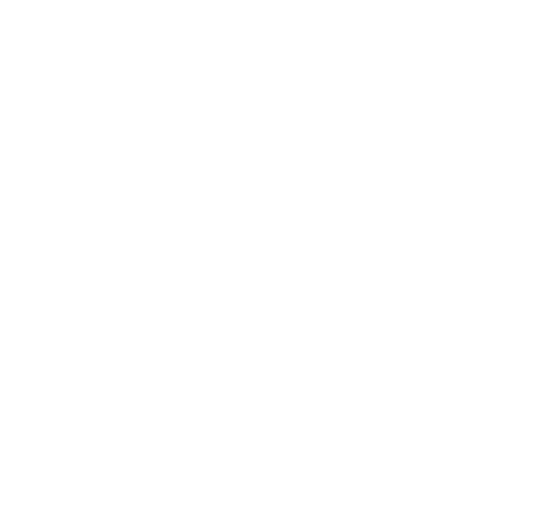logo FAER POSITIVO